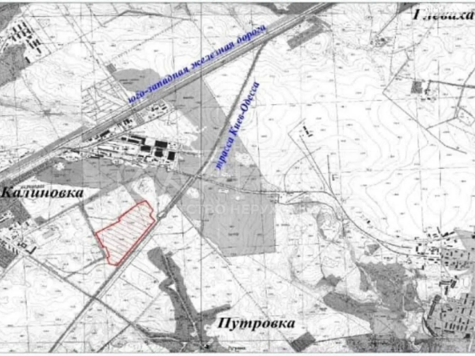 Продается земельный участок 3200 соток в Киевской области - фото 2