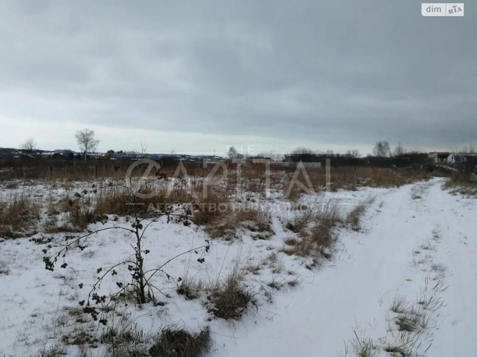 Продається земельна ділянка 60 соток у Київській області - фото 3
