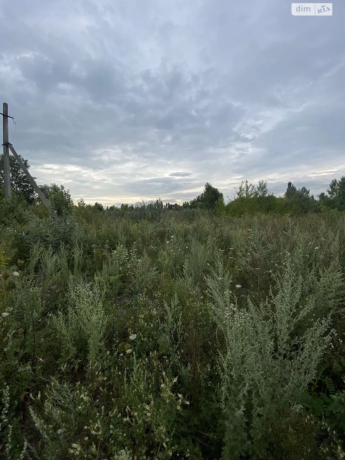 Продается земельный участок 1 соток в Винницкой области - фото 3