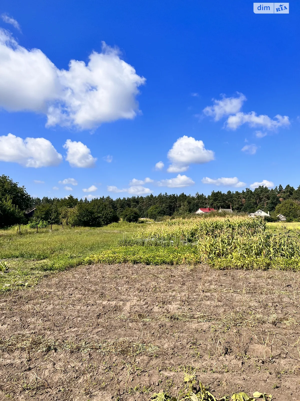 Продається земельна ділянка 42 соток у Вінницькій області - фото 3