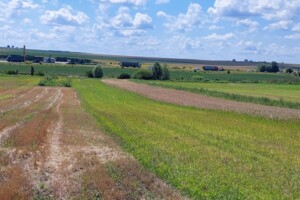 Купить земельный участок сельхозназначения