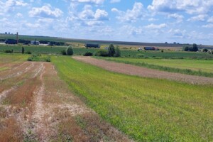 Куплю земельный участок в Дубно без посредников