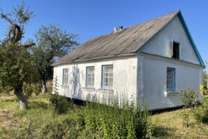 Продажа дома, Житомирская, Высокая Печь, Зеленая улица