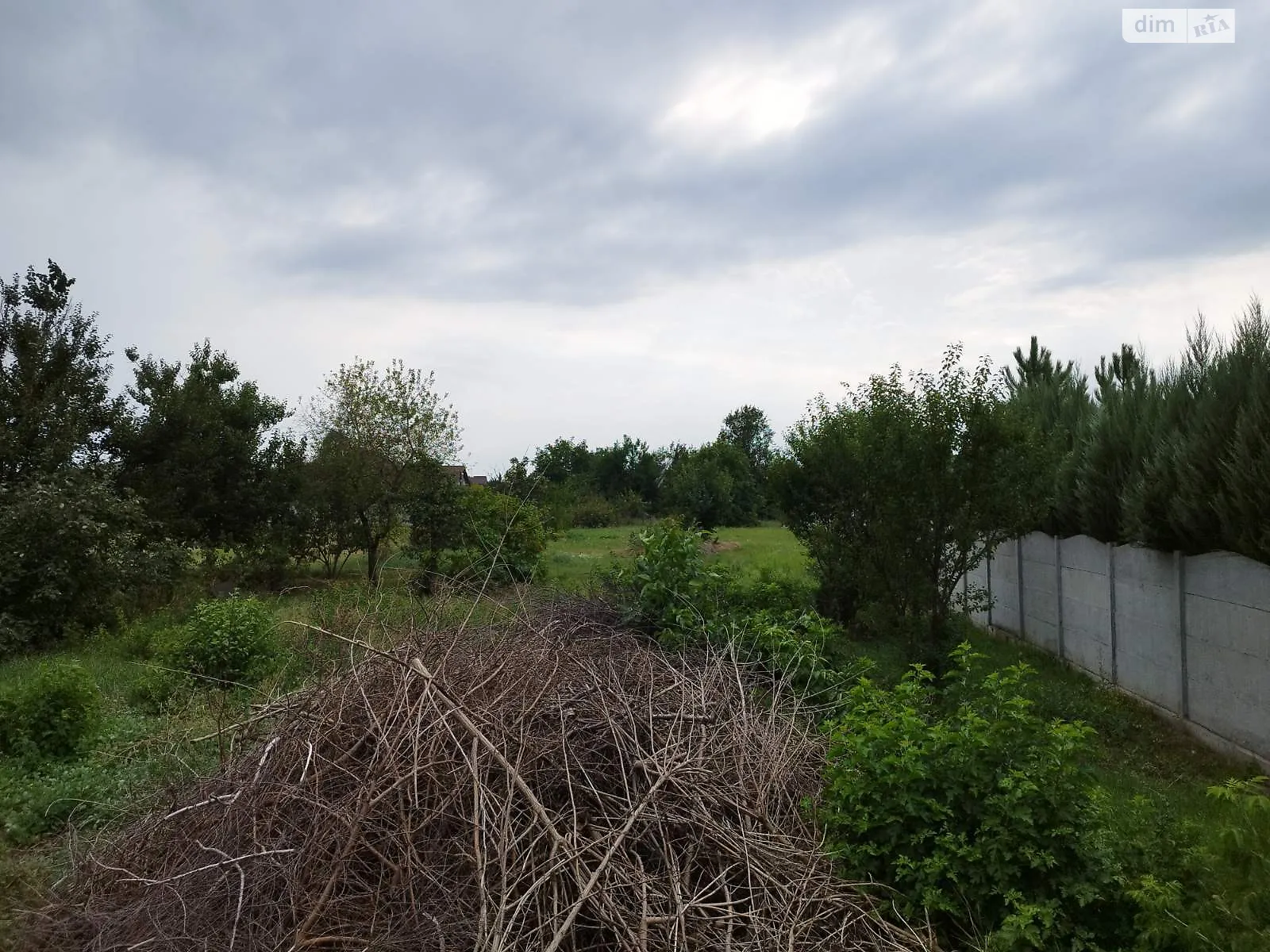 Продается земельный участок 18 соток в Днепропетровской области - фото 2