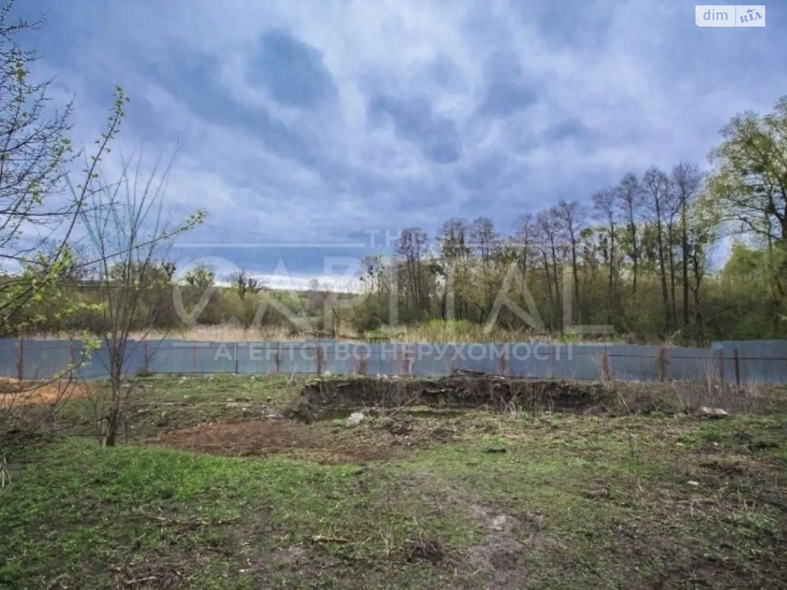 Продається земельна ділянка 115 соток у Київській області - фото 2