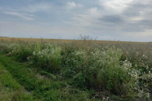 Купить землю под застройку в Тернопольской области