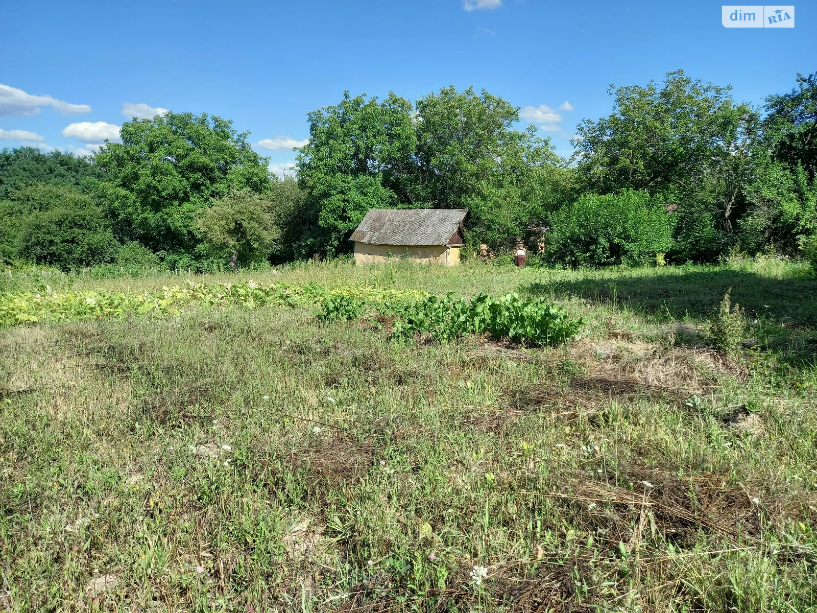 Продається земельна ділянка 24 соток у Вінницькій області, цена: 12000 $