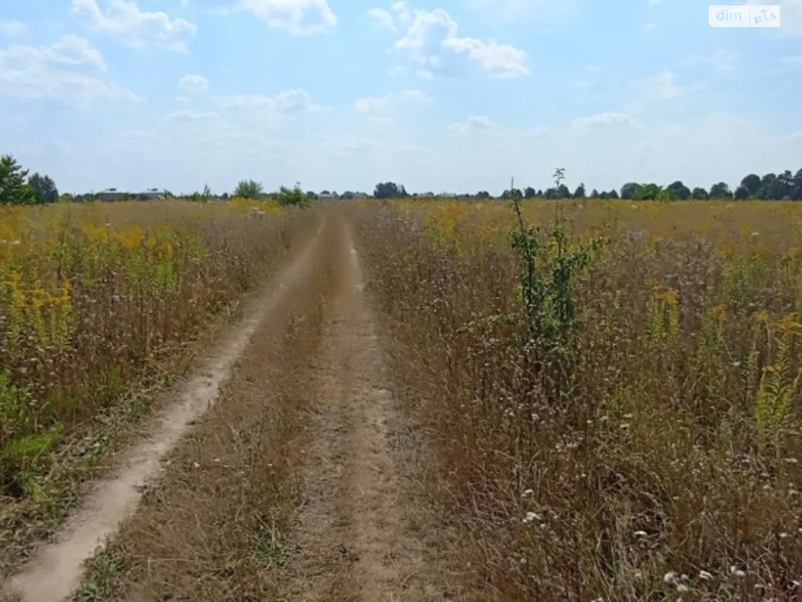 Продається земельна ділянка 20.28 соток у Вінницькій області, цена: 16500 $