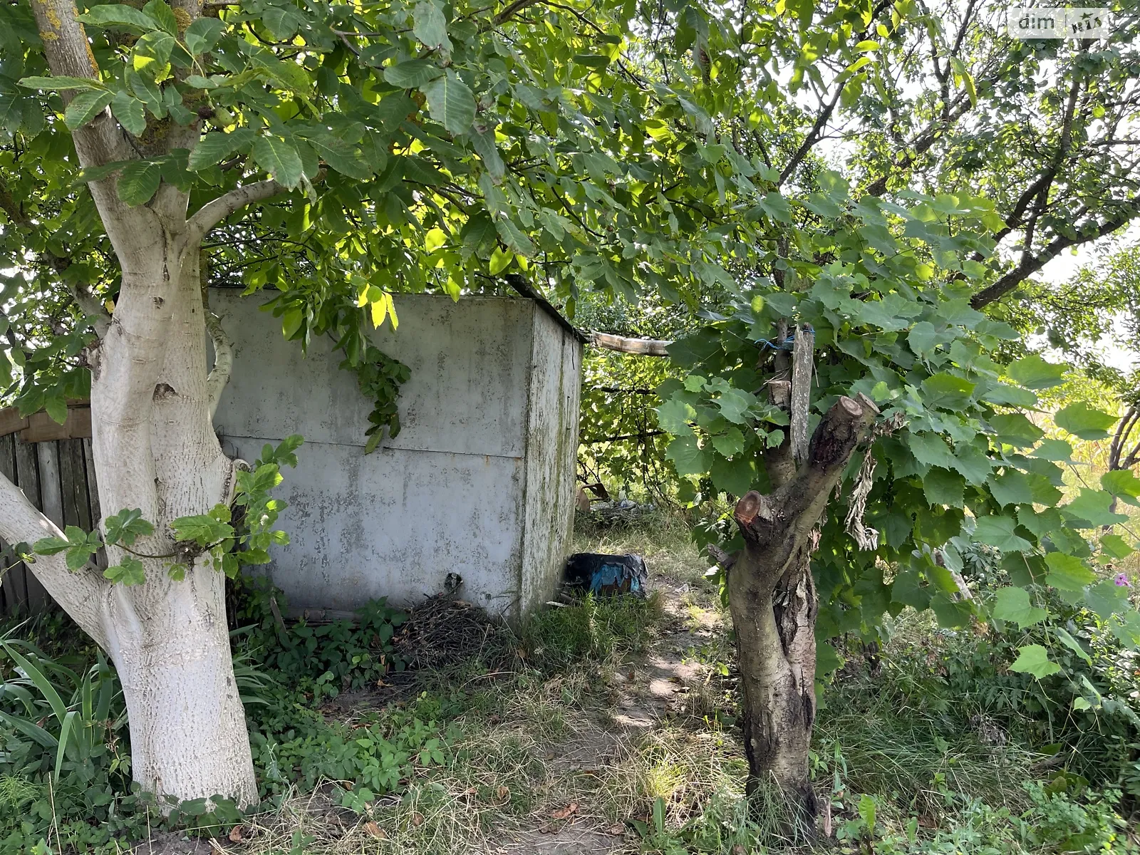 Продается земельный участок 12 соток в Тернопольской области - фото 2