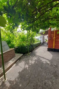 Куплю дом Житомирской области