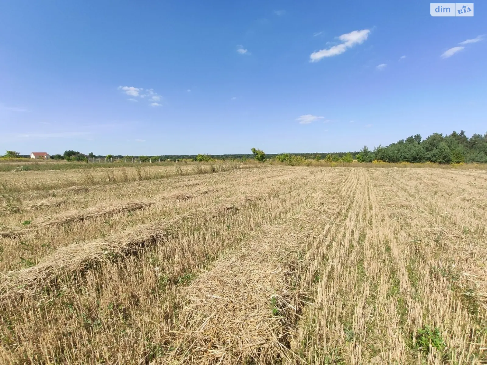 Продається земельна ділянка 12.5 соток у Вінницькій області - фото 3