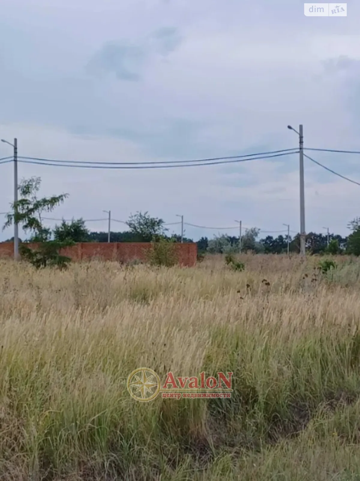 Продается земельный участок 9.8 соток в Одесской области - фото 2