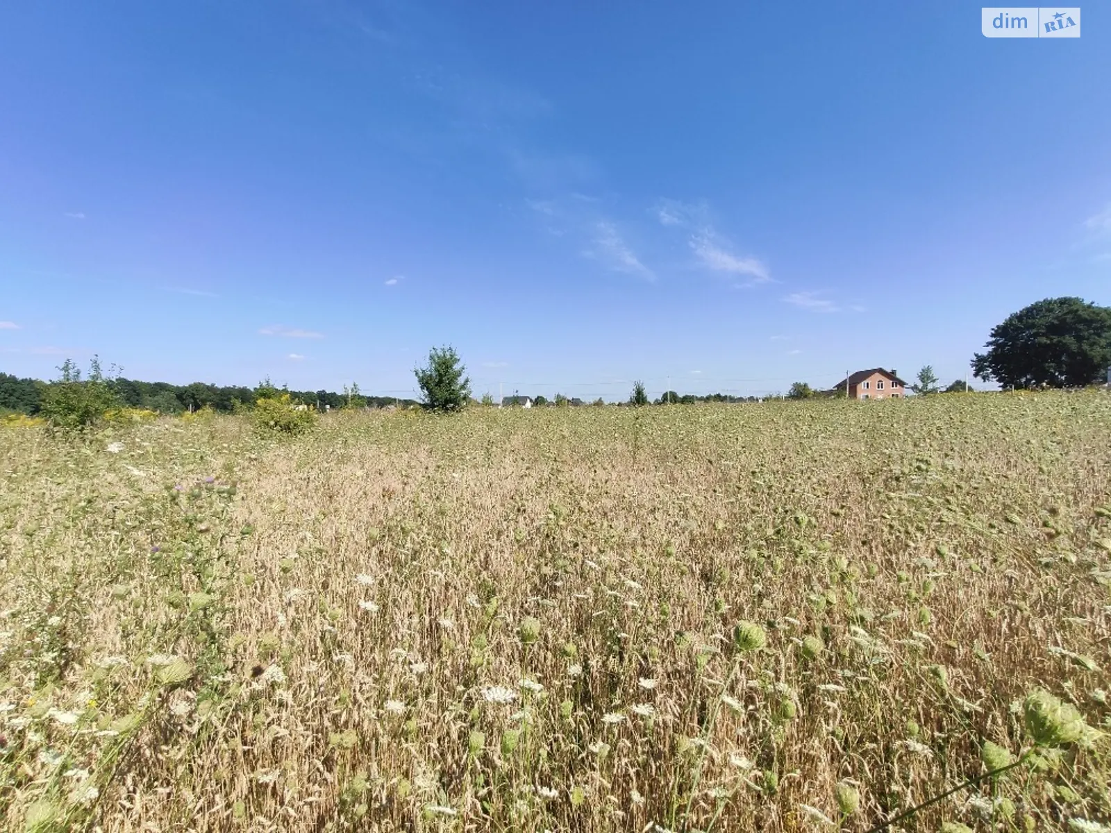 Продается земельный участок 14 соток в Винницкой области, цена: 26000 $