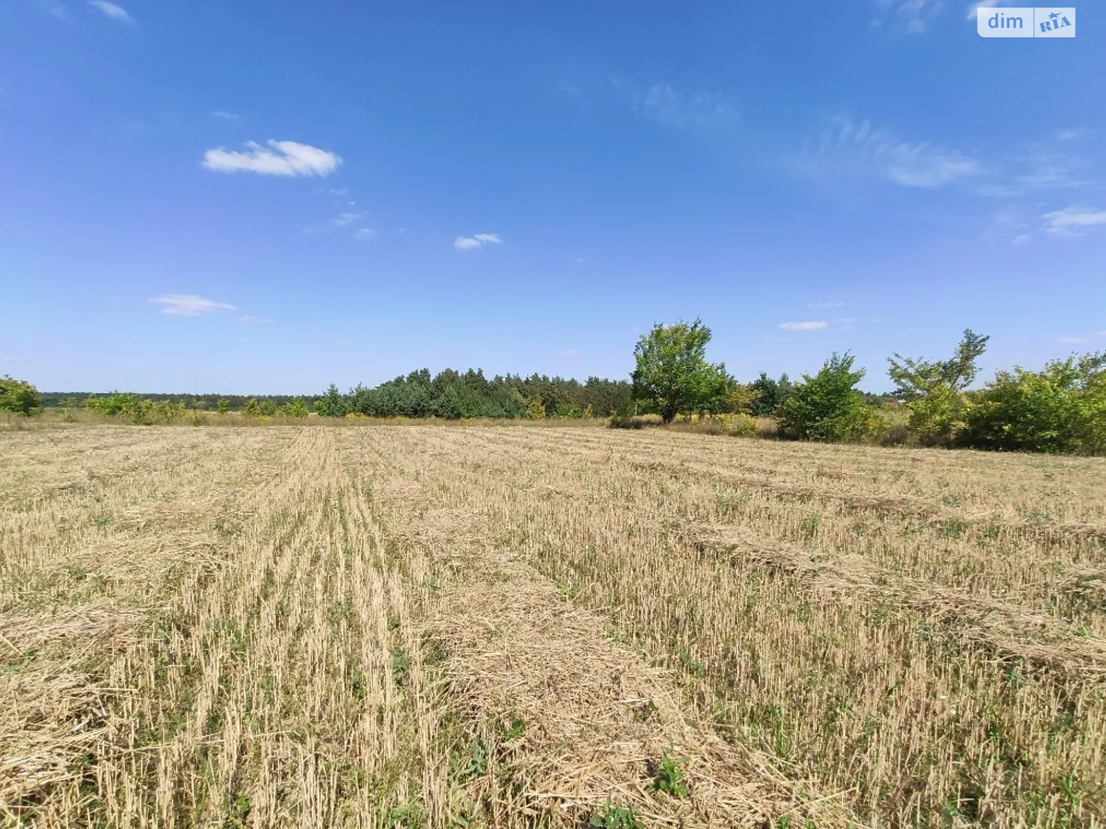 Продается земельный участок 12.5 соток в Винницкой области - фото 2