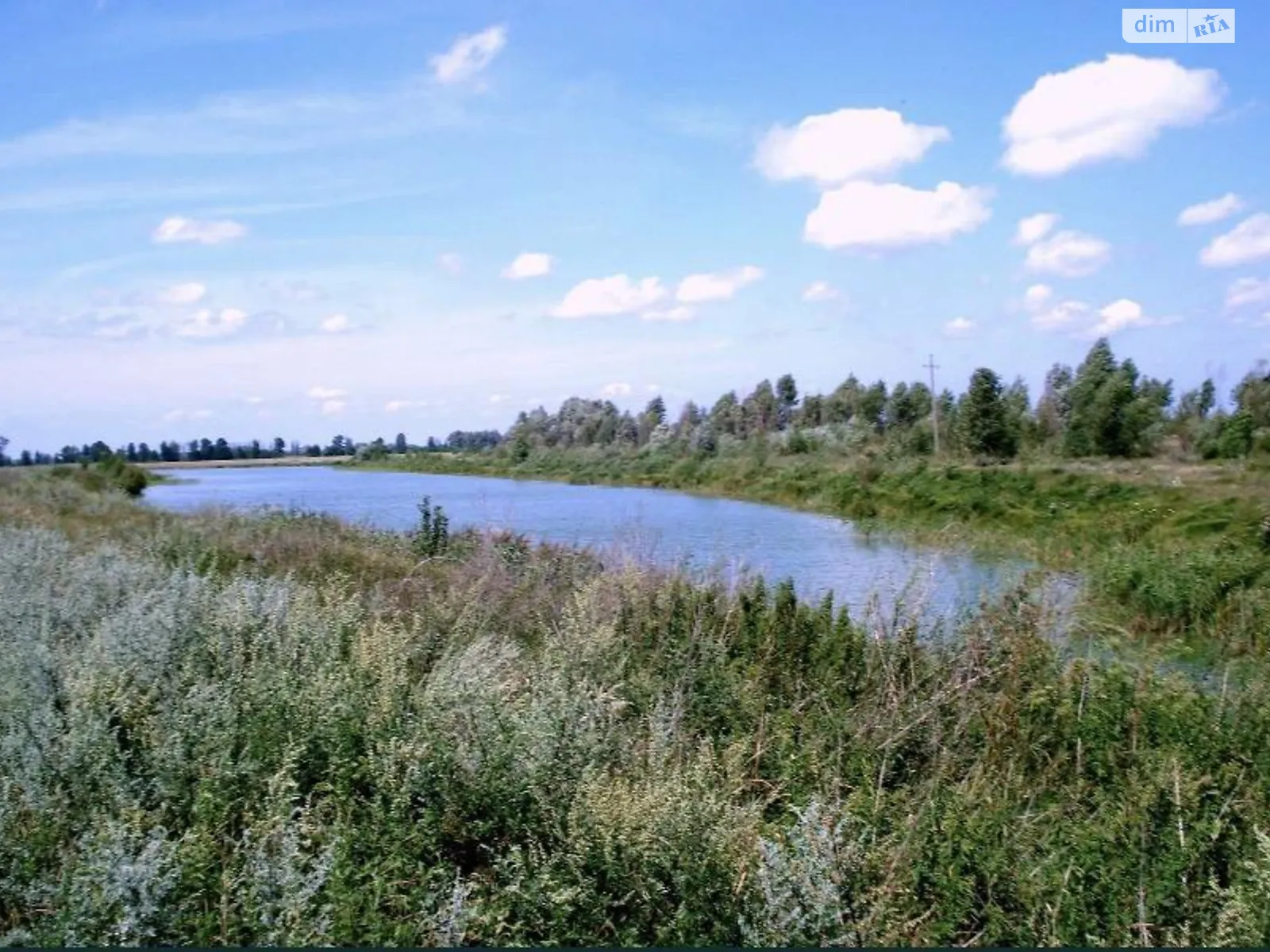 Продается земельный участок 200 соток в Киевской области, цена: 49800 $