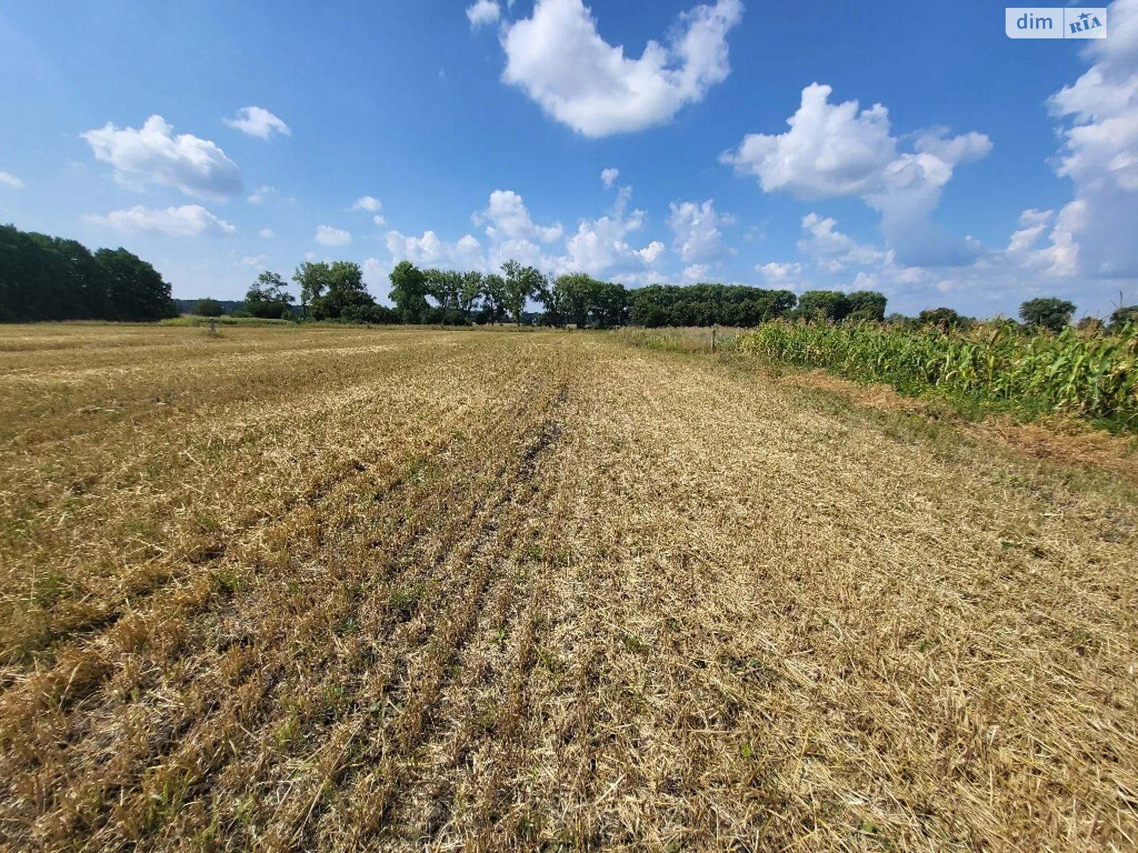 Продається земельна ділянка 11 соток у Вінницькій області, цена: 5500 $