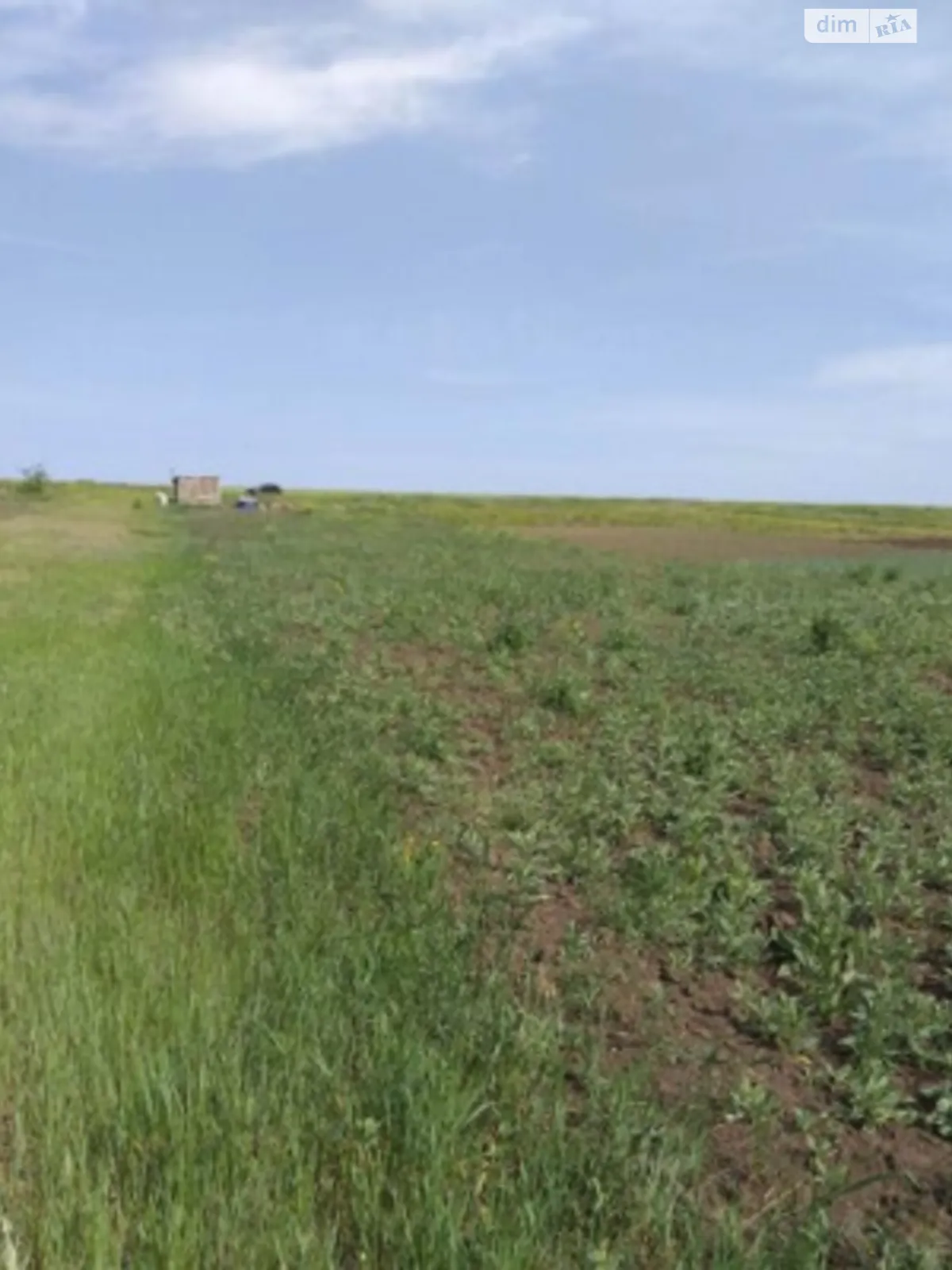 Продается земельный участок 24 соток в Одесской области - фото 3