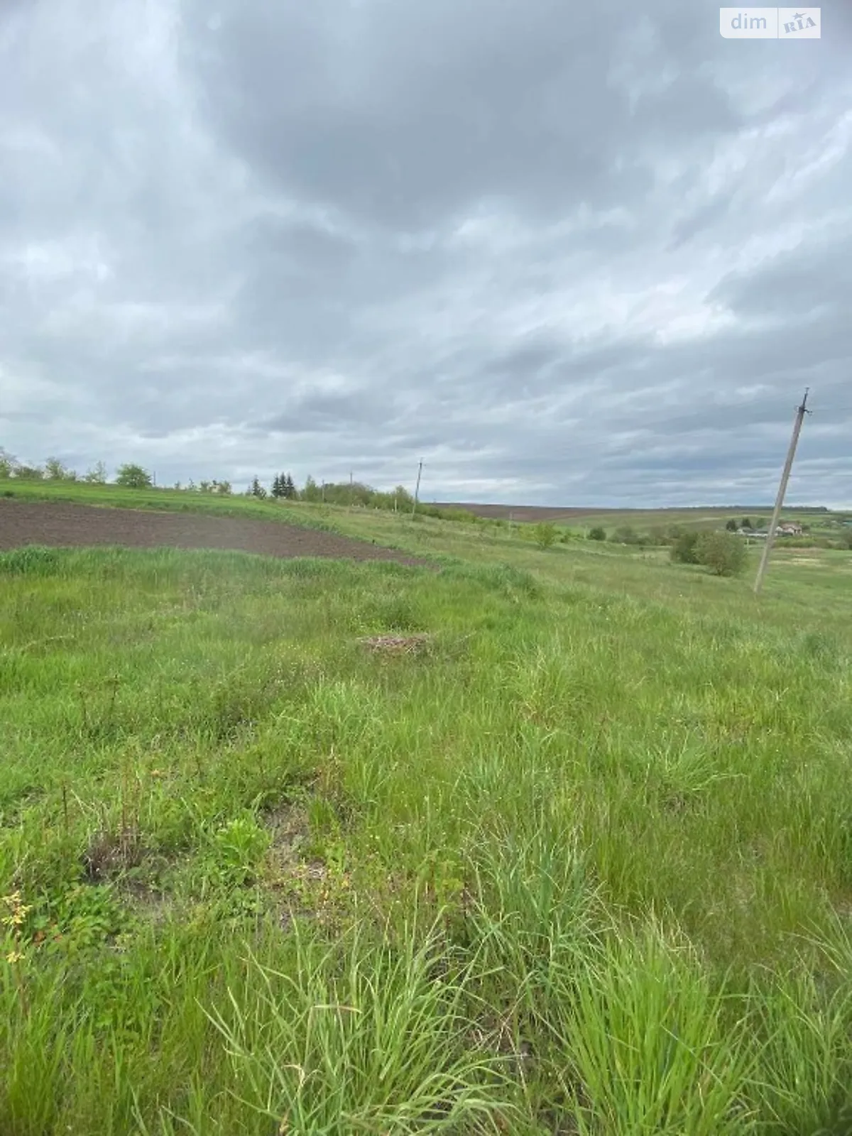 Продается земельный участок 22.8 соток в Тернопольской области - фото 3