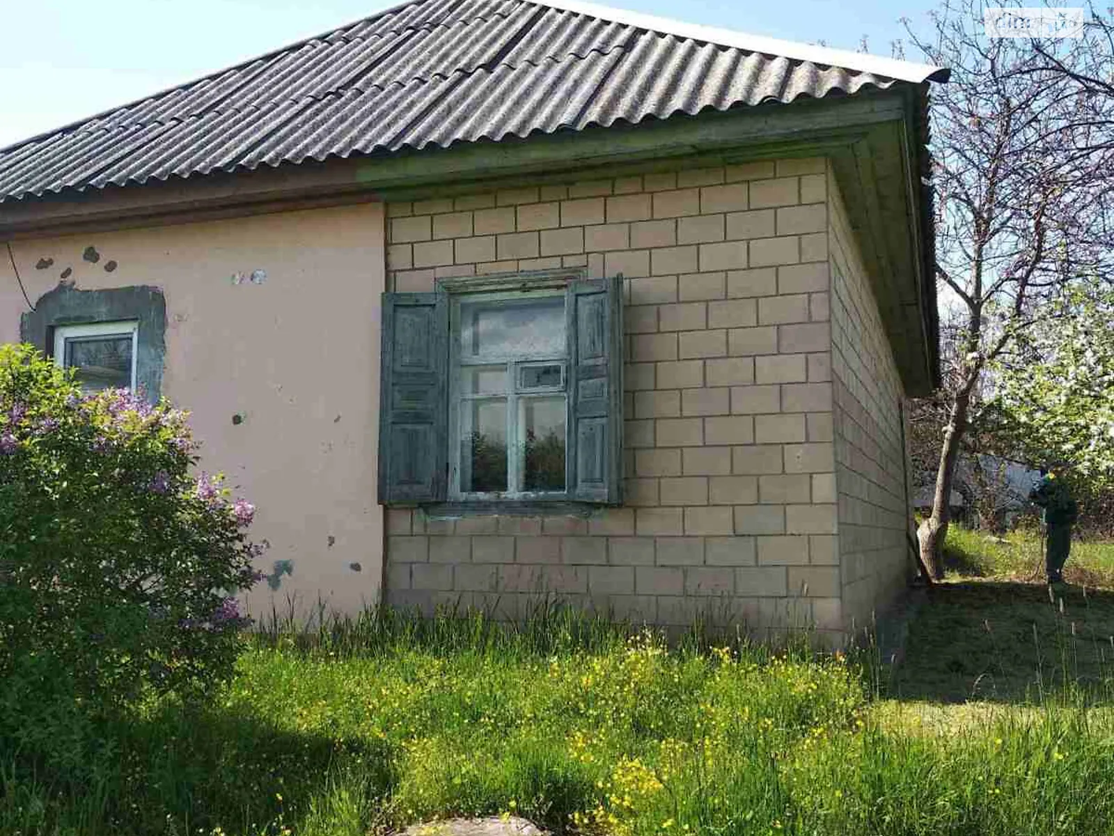 Продается земельный участок 18.25 соток в Черкасской области - фото 3