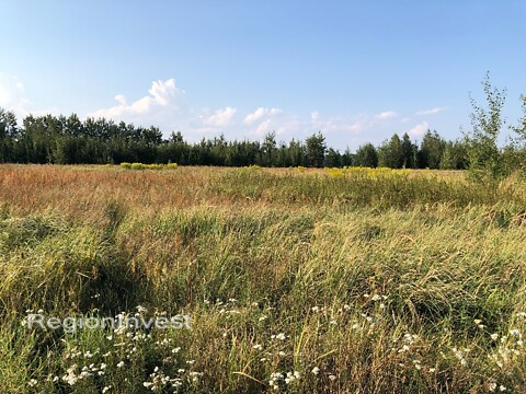 Продается земельный участок 40 соток в Киевской области, цена: 220000 $