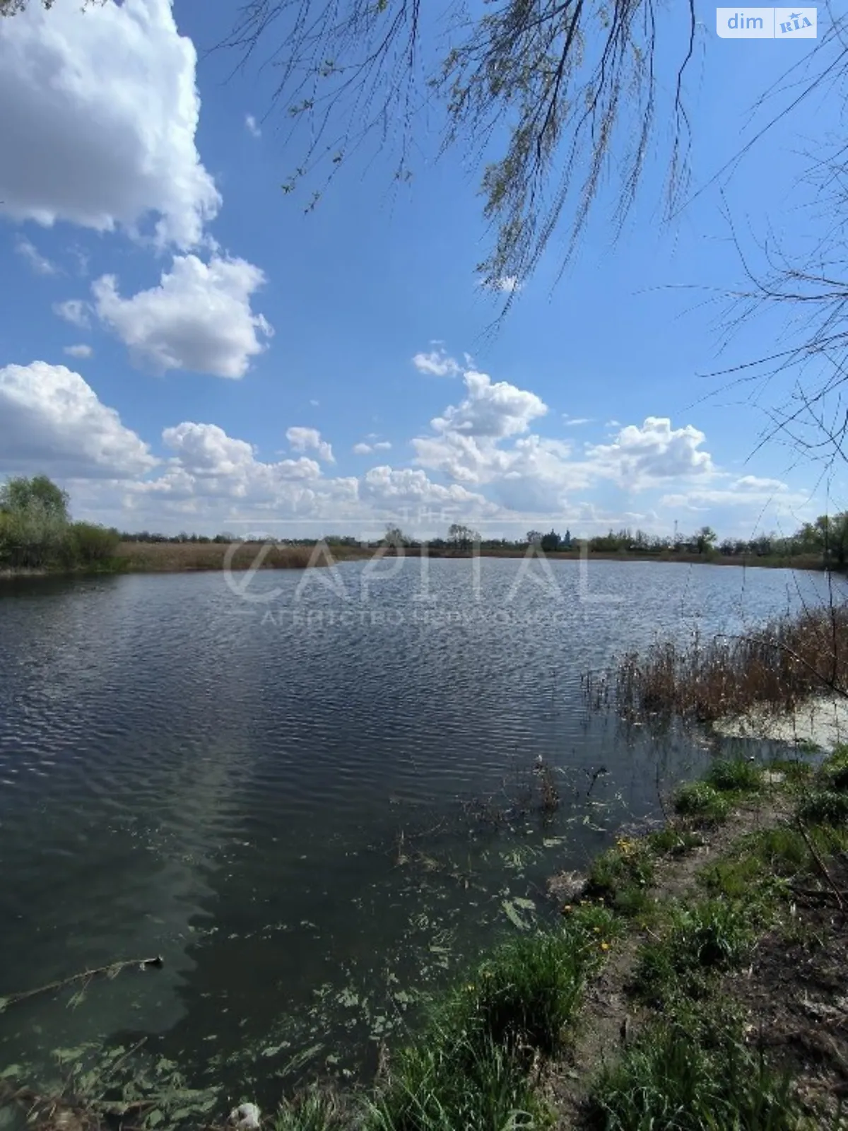 Продается земельный участок 3000 соток в Киевской области - фото 3