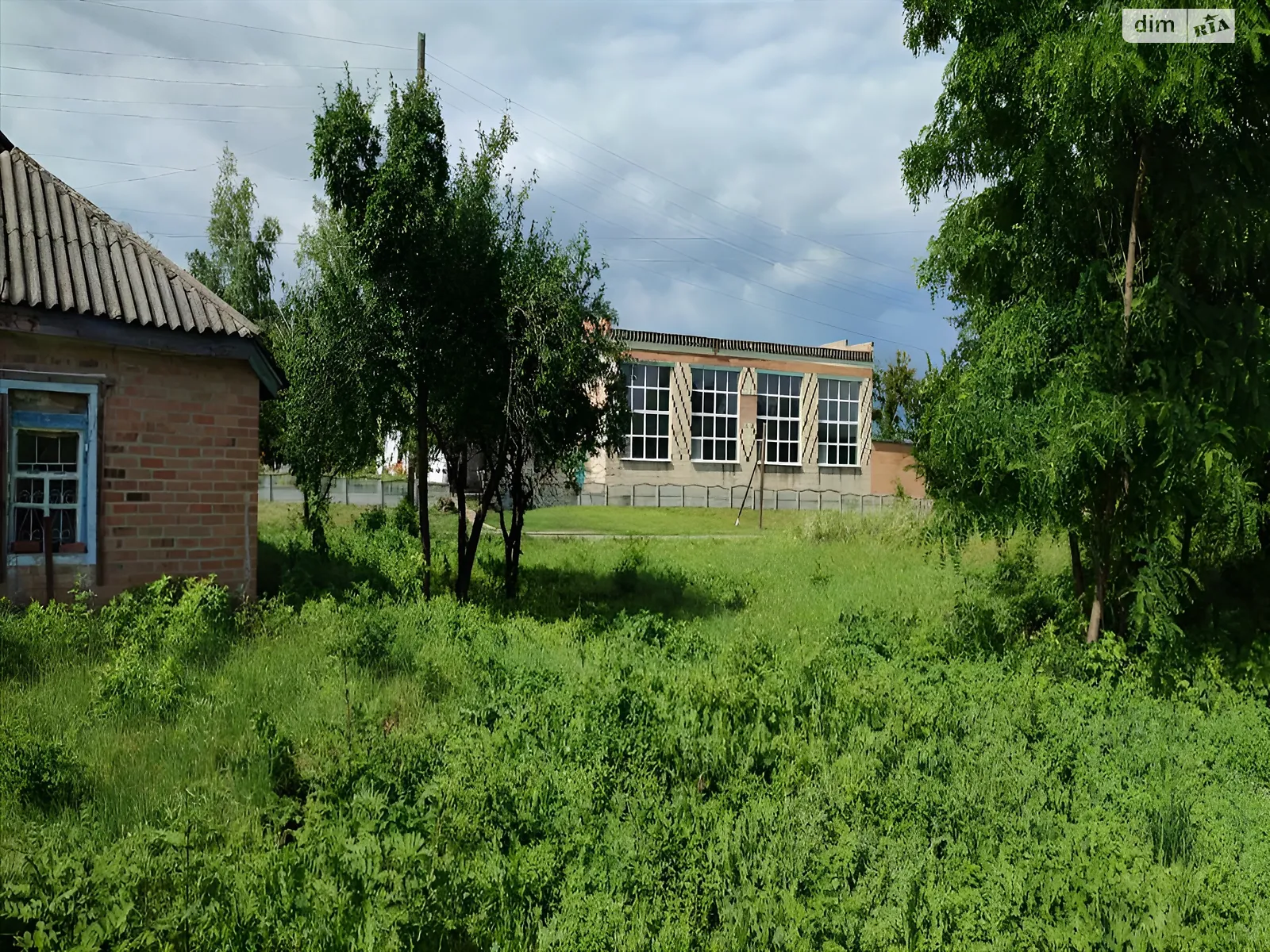 Продається земельна ділянка 25 соток у Полтавській області - фото 2