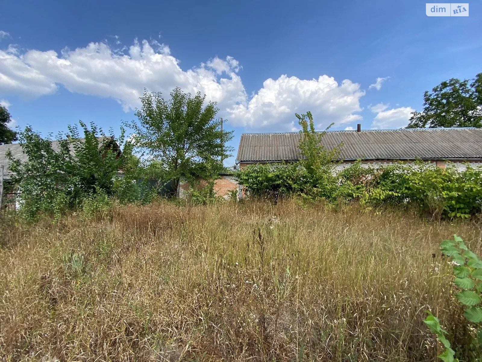 Продается земельный участок 32 соток в Винницкой области - фото 3