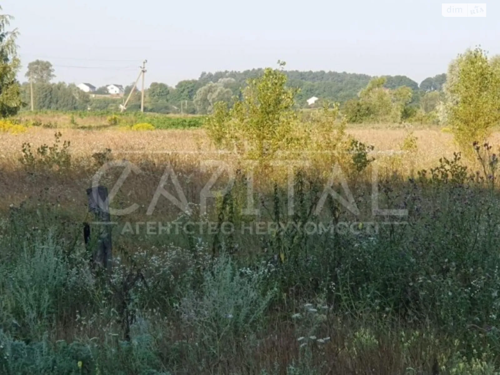 Продається земельна ділянка 200 соток у Київській області - фото 2