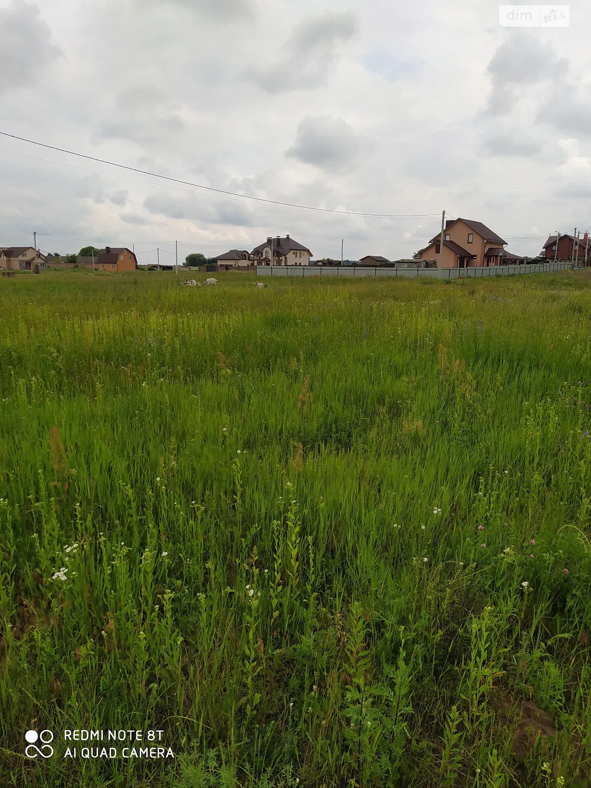 Продается земельный участок 15 соток в Ровенской области - фото 4