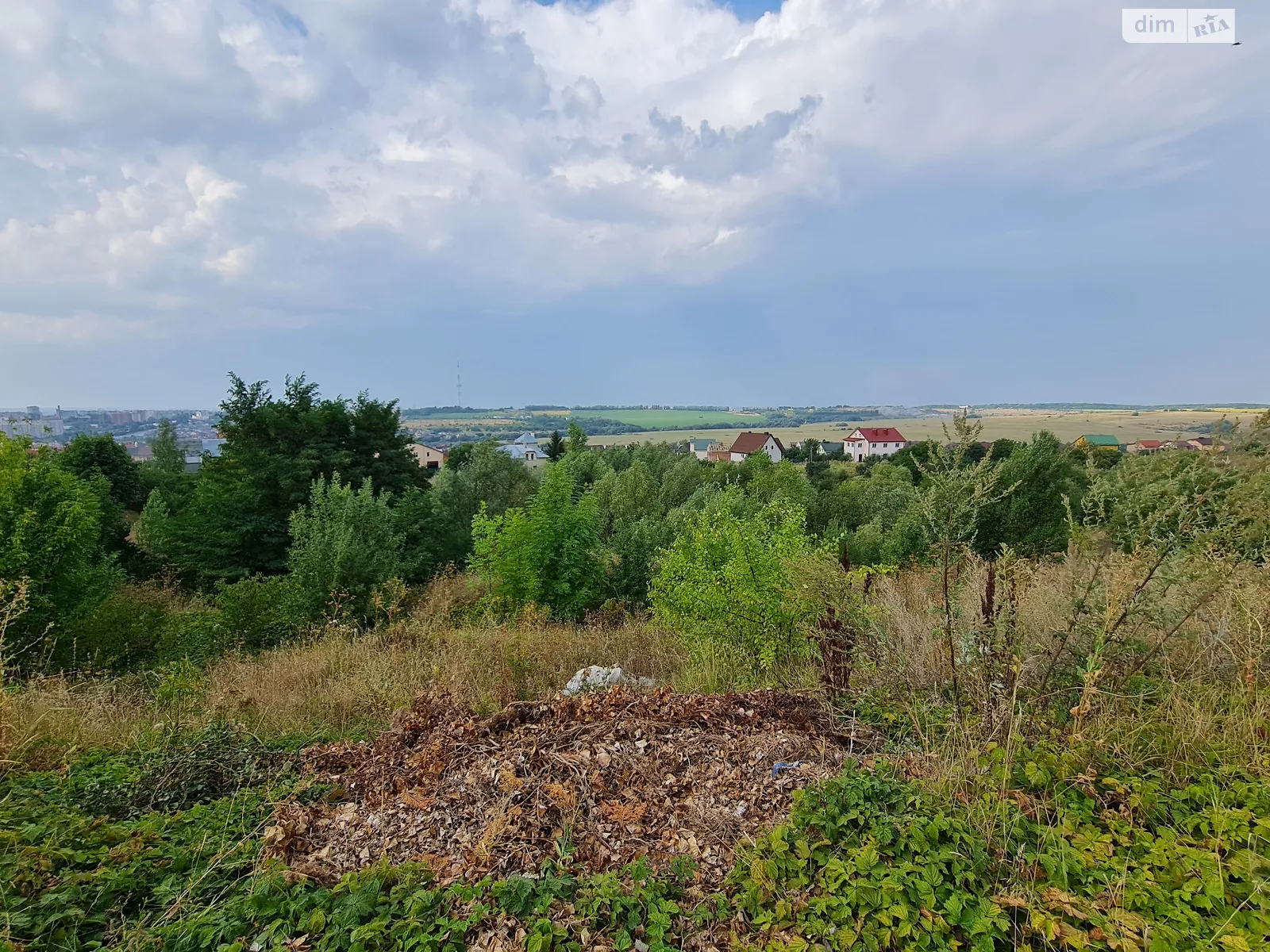 Продається земельна ділянка 170 соток у Хмельницькій області - фото 3
