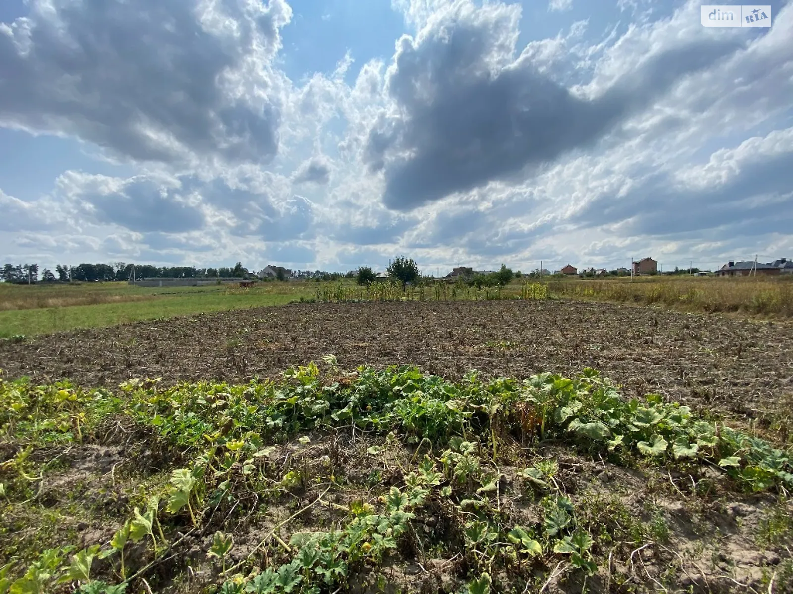 Продается земельный участок 12 соток в Винницкой области, цена: 14000 $