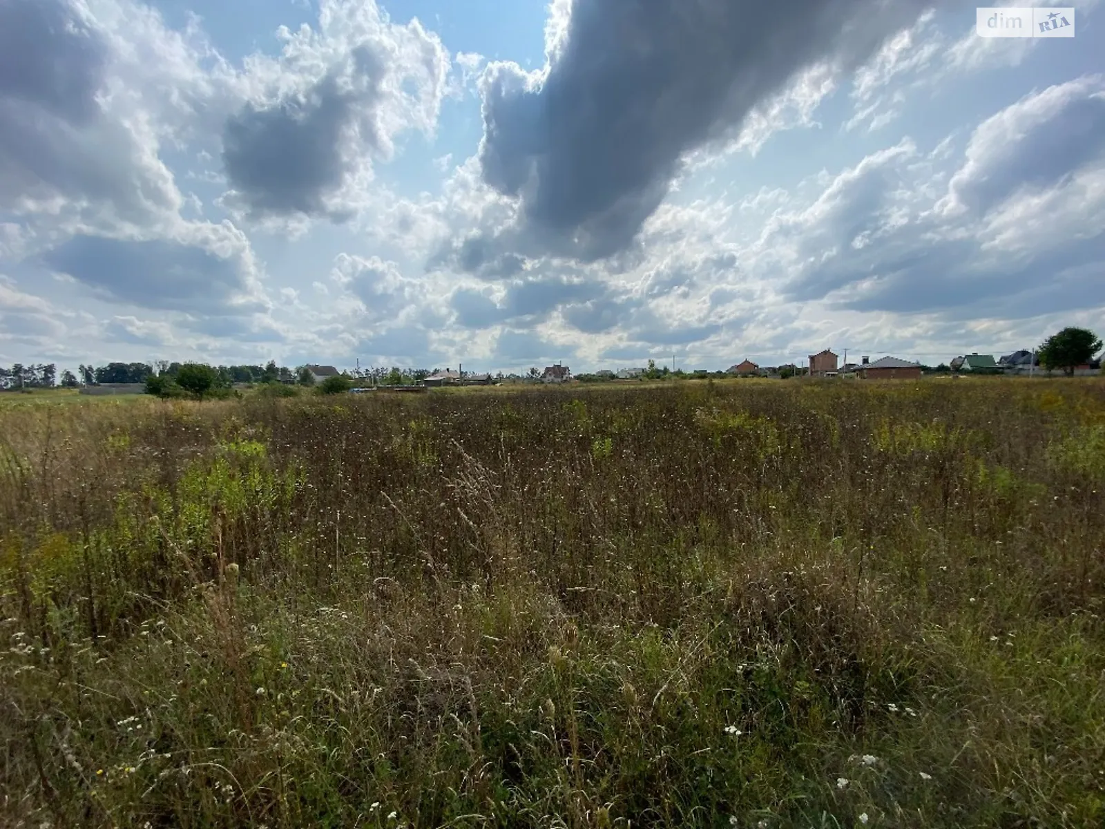 Продается земельный участок 12 соток в Винницкой области - фото 2