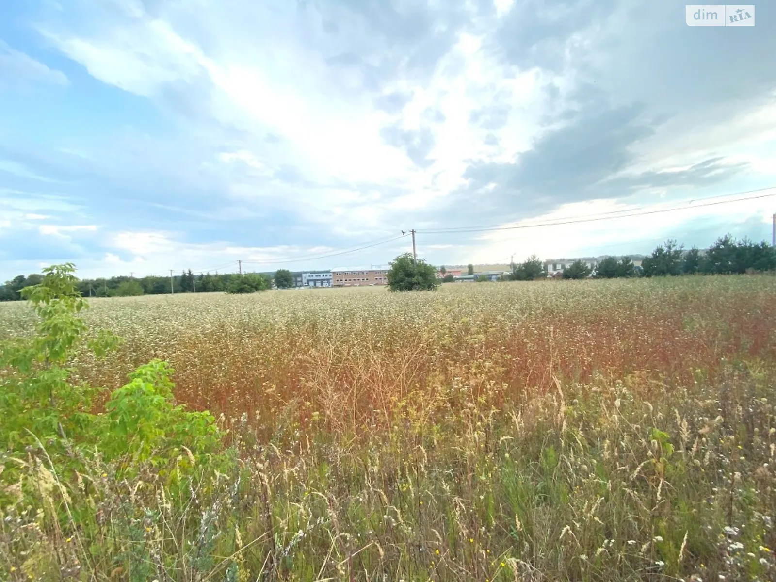 Продается земельный участок 213 соток в Тернопольской области - фото 3