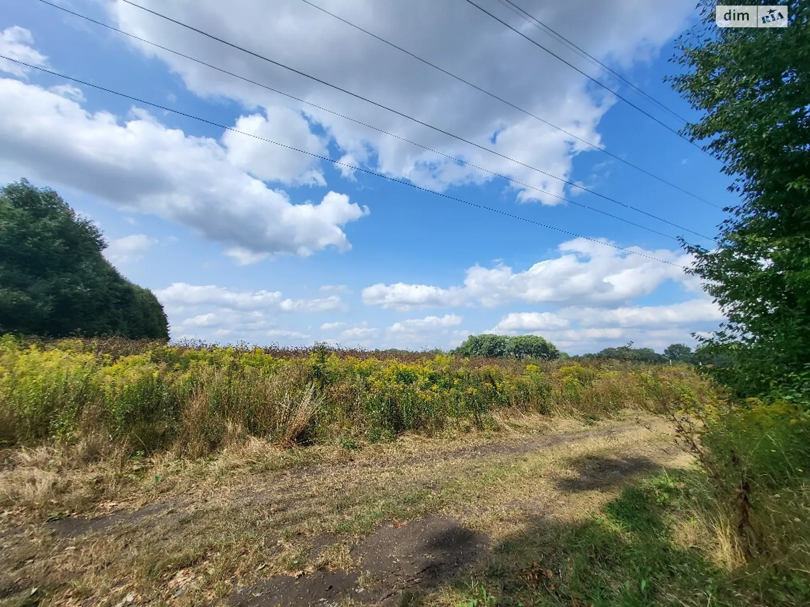 Продається земельна ділянка 64 соток у Вінницькій області, цена: 76000 $