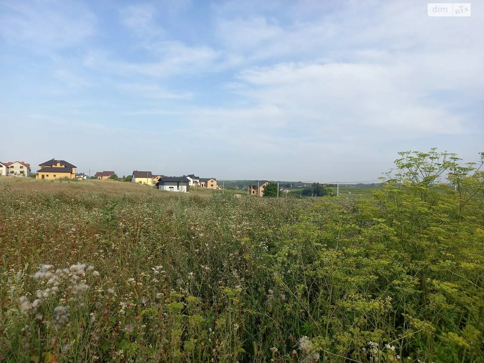 Продается земельный участок 25 соток в Тернопольской области, цена: 16500 $