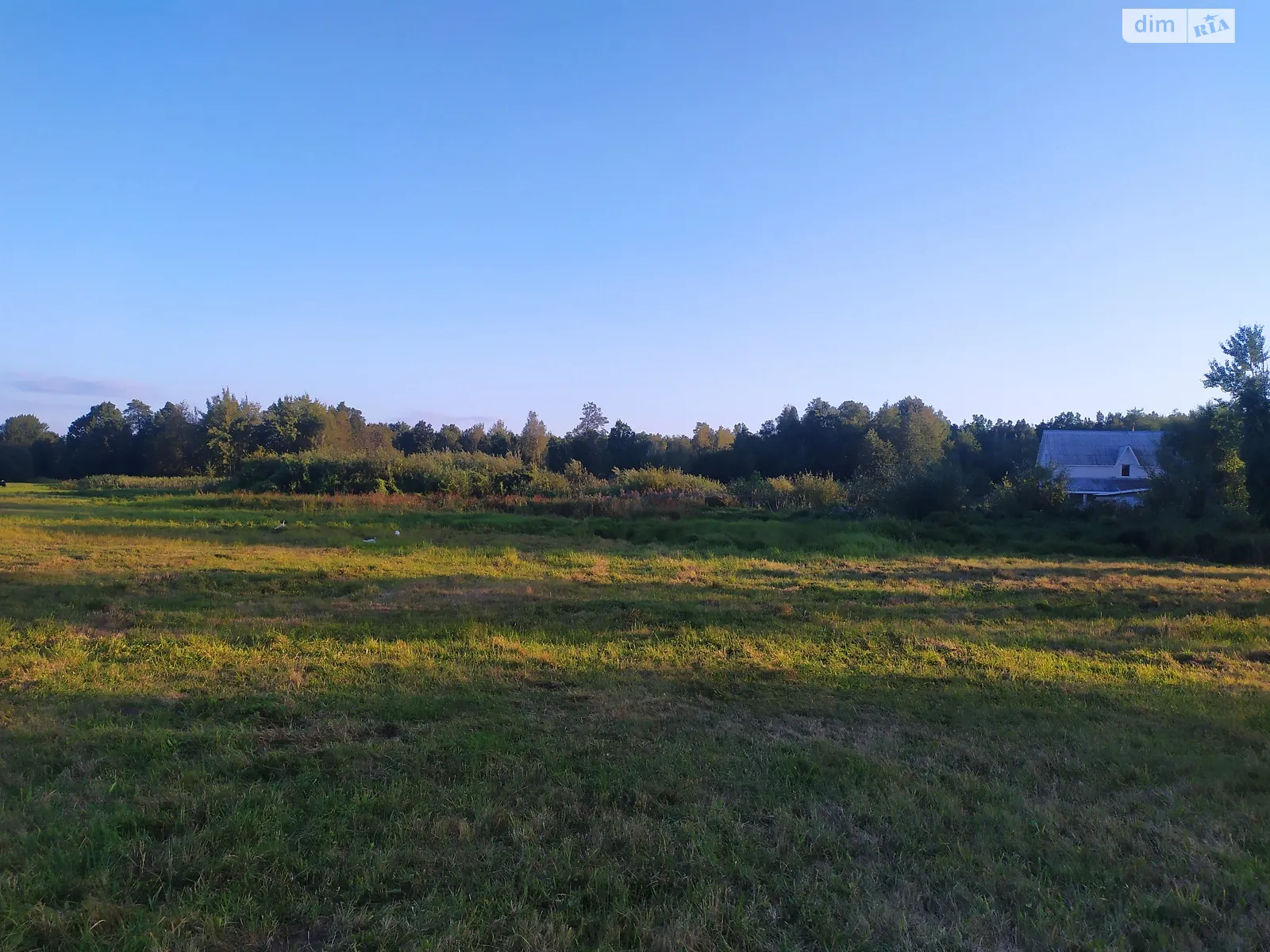 Продается земельный участок 15 соток в Житомирской области, цена: 4700 $