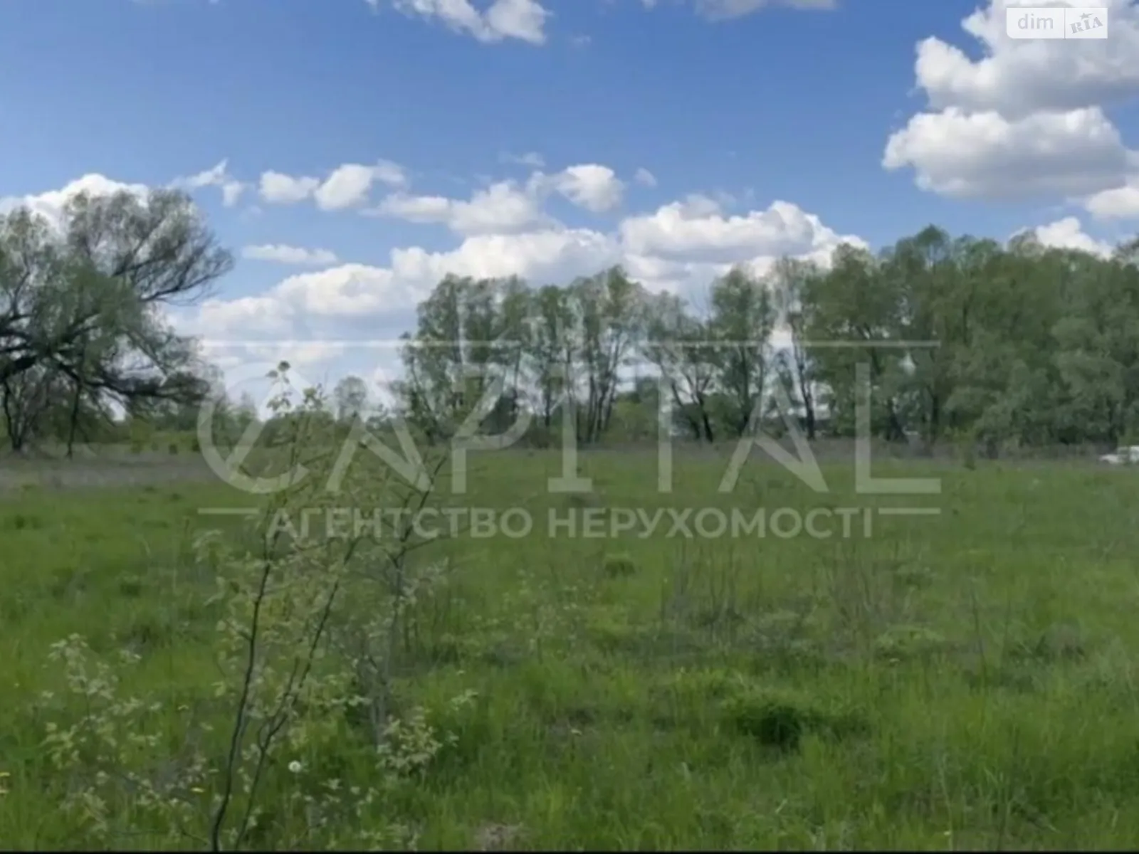 Продається земельна ділянка 25 соток у Київській області, цена: 14000 $