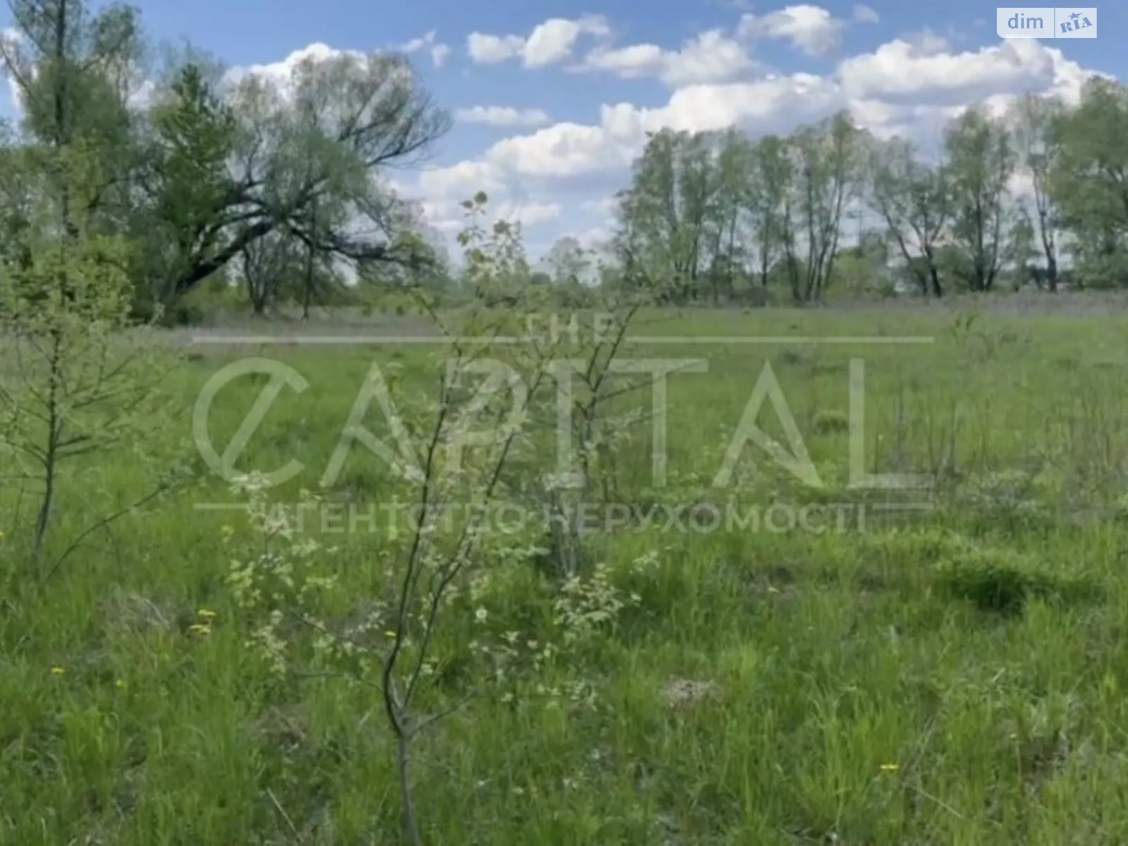 Продается земельный участок 25 соток в Киевской области, цена: 14000 $ - фото 1