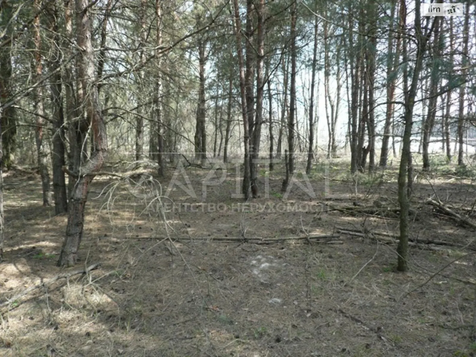 Продається земельна ділянка 100 соток у Київській області, цена: 600000 $ - фото 1