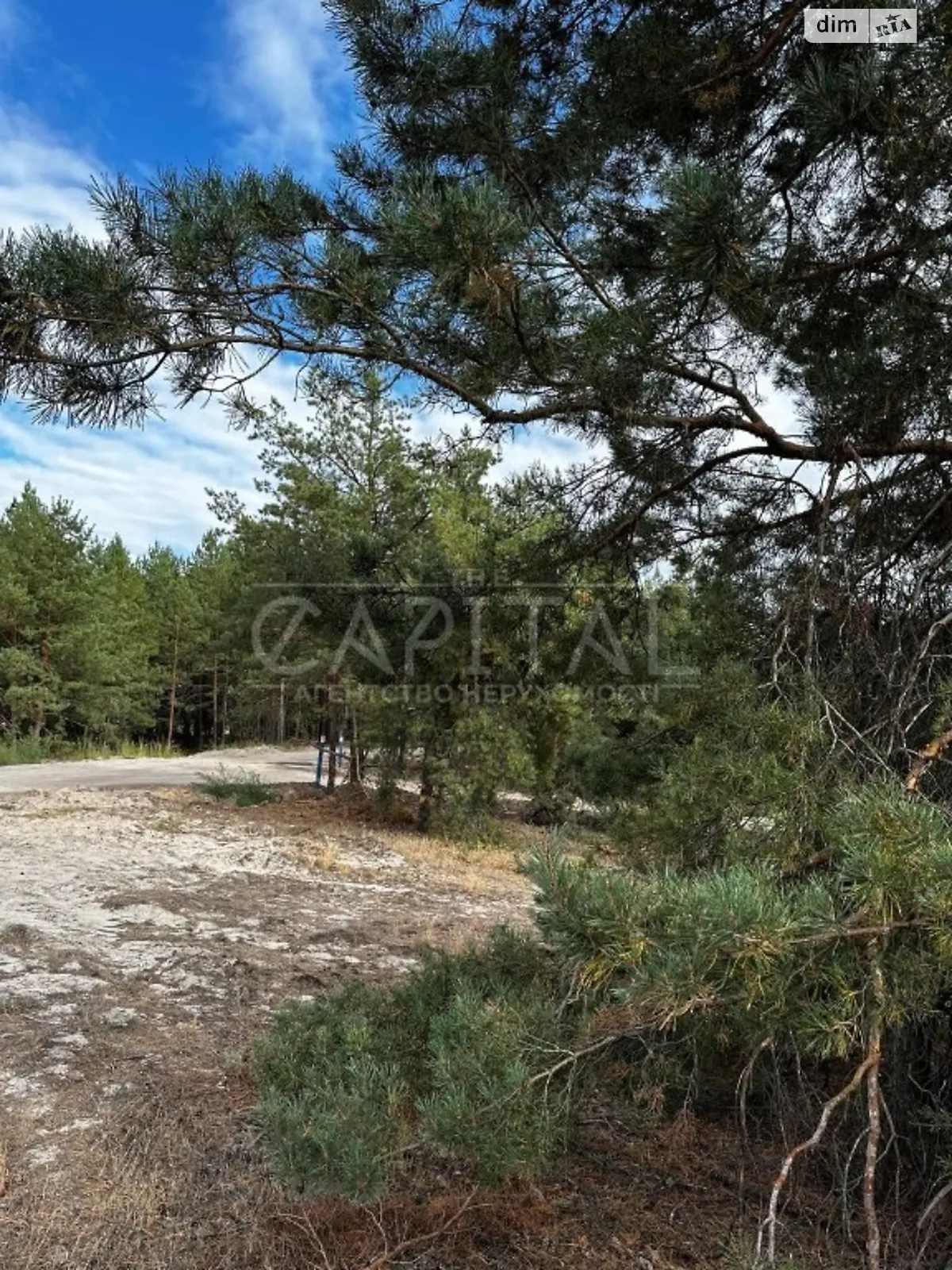 Продается земельный участок 30 соток в Киевской области, цена: 225000 $