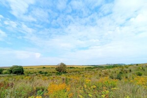 Куплю земельный участок в Виньковцах без посредников