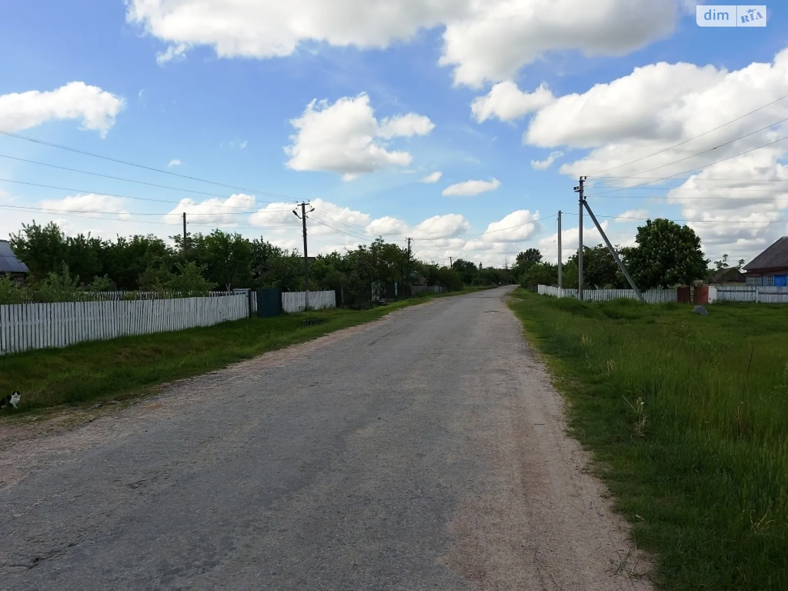 Продается земельный участок 30 соток в Житомирской области, цена: 2300 $