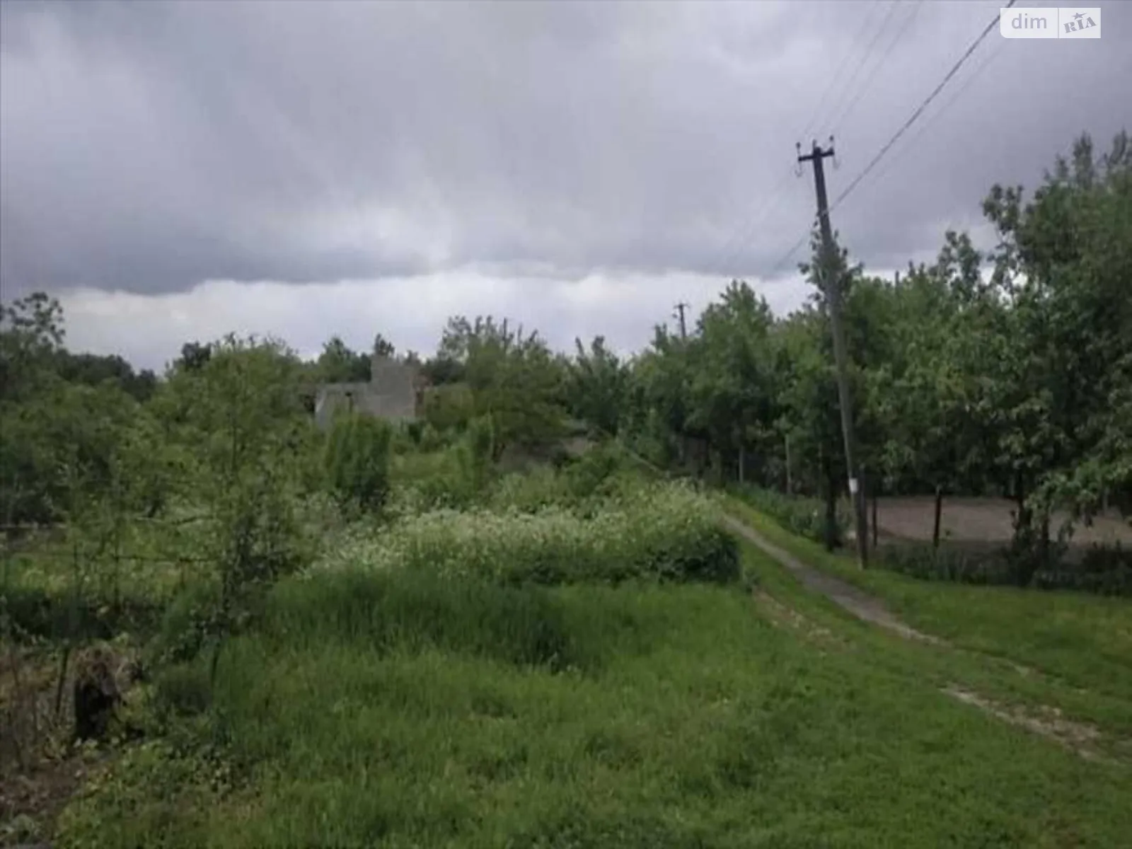 Продается земельный участок 28 соток в Полтавской области - фото 3