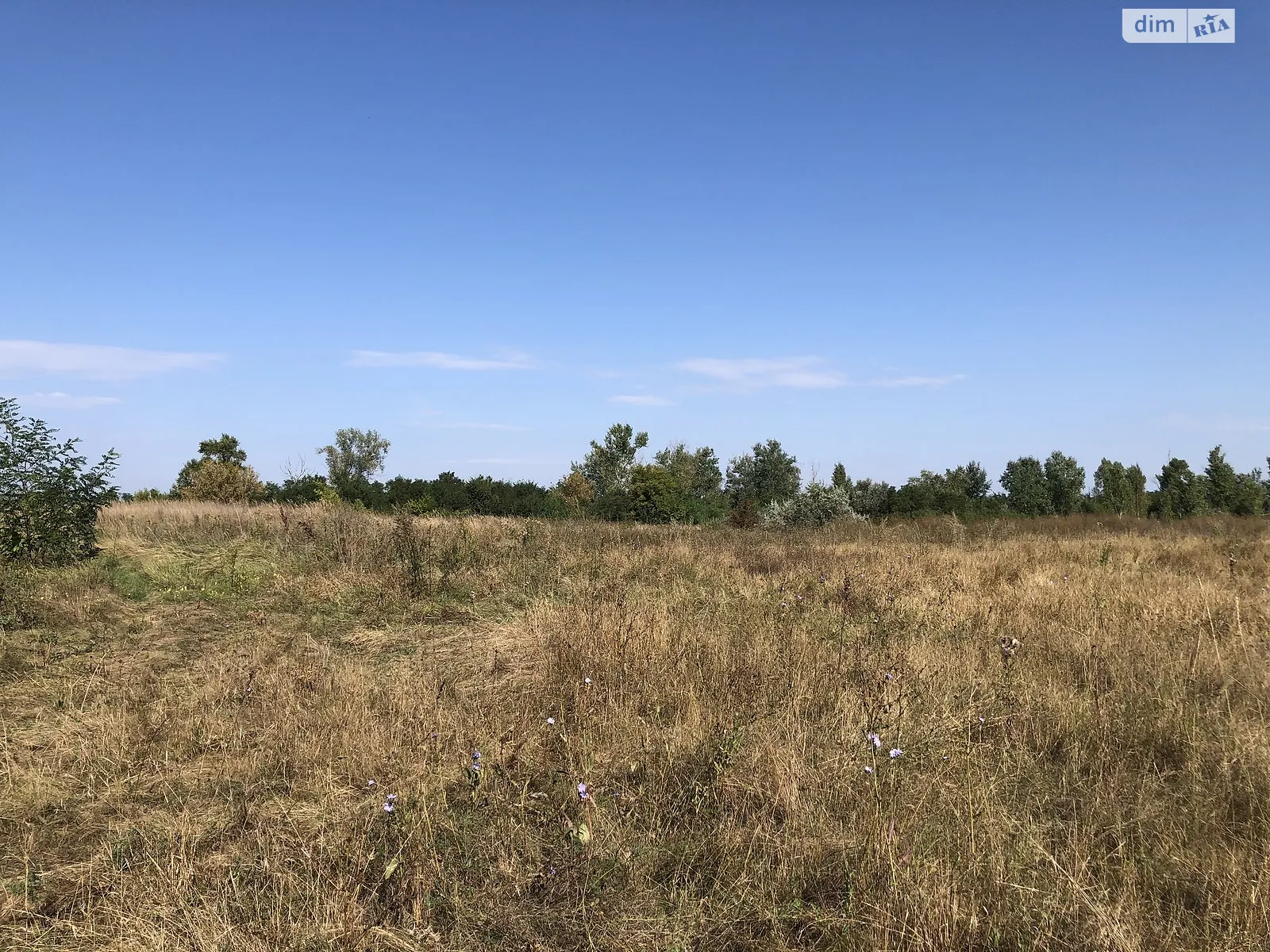 Продается земельный участок 210 соток в Днепропетровской области - фото 3