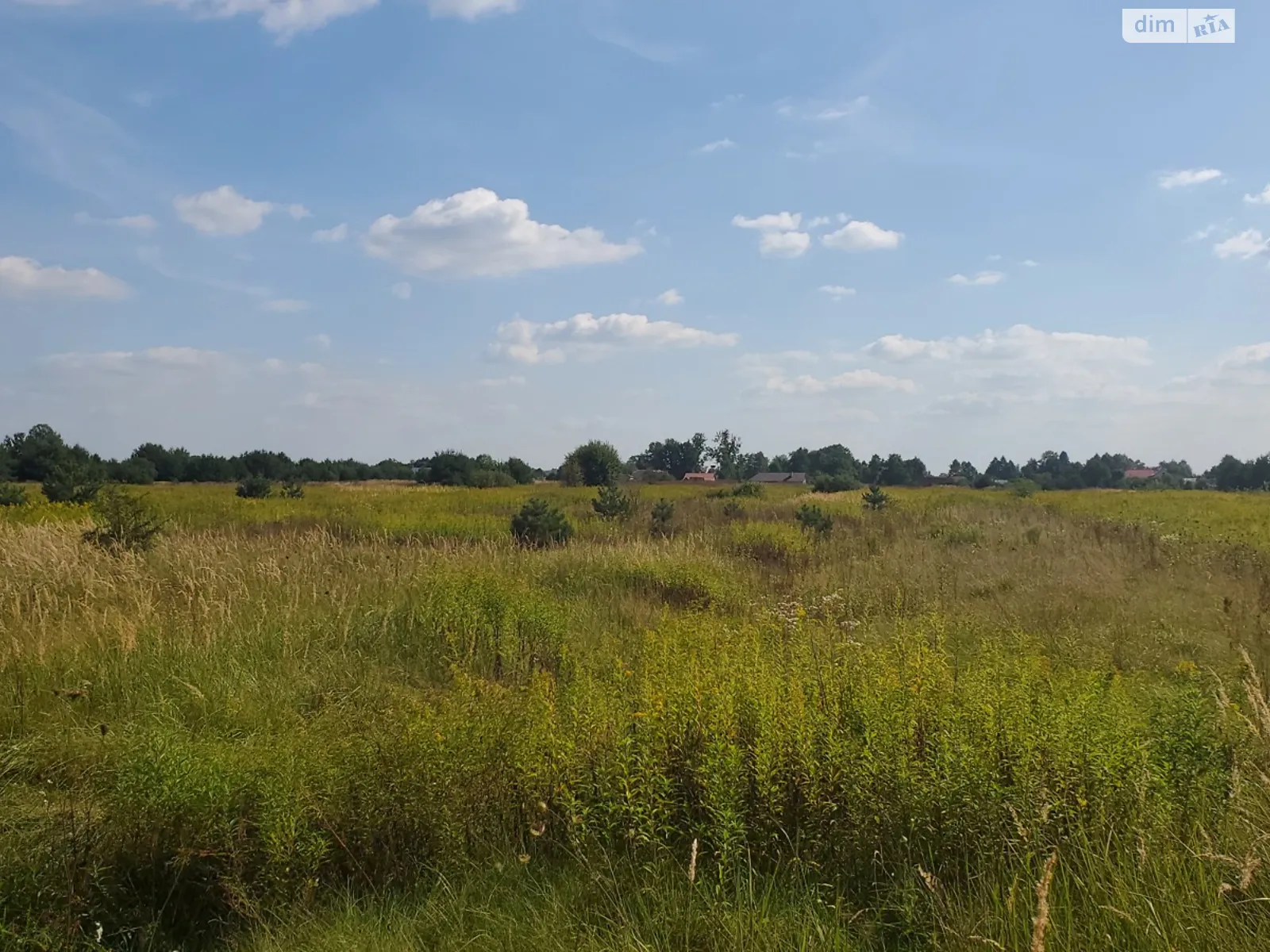 Продается земельный участок 1.9 соток в Львовской области - фото 3