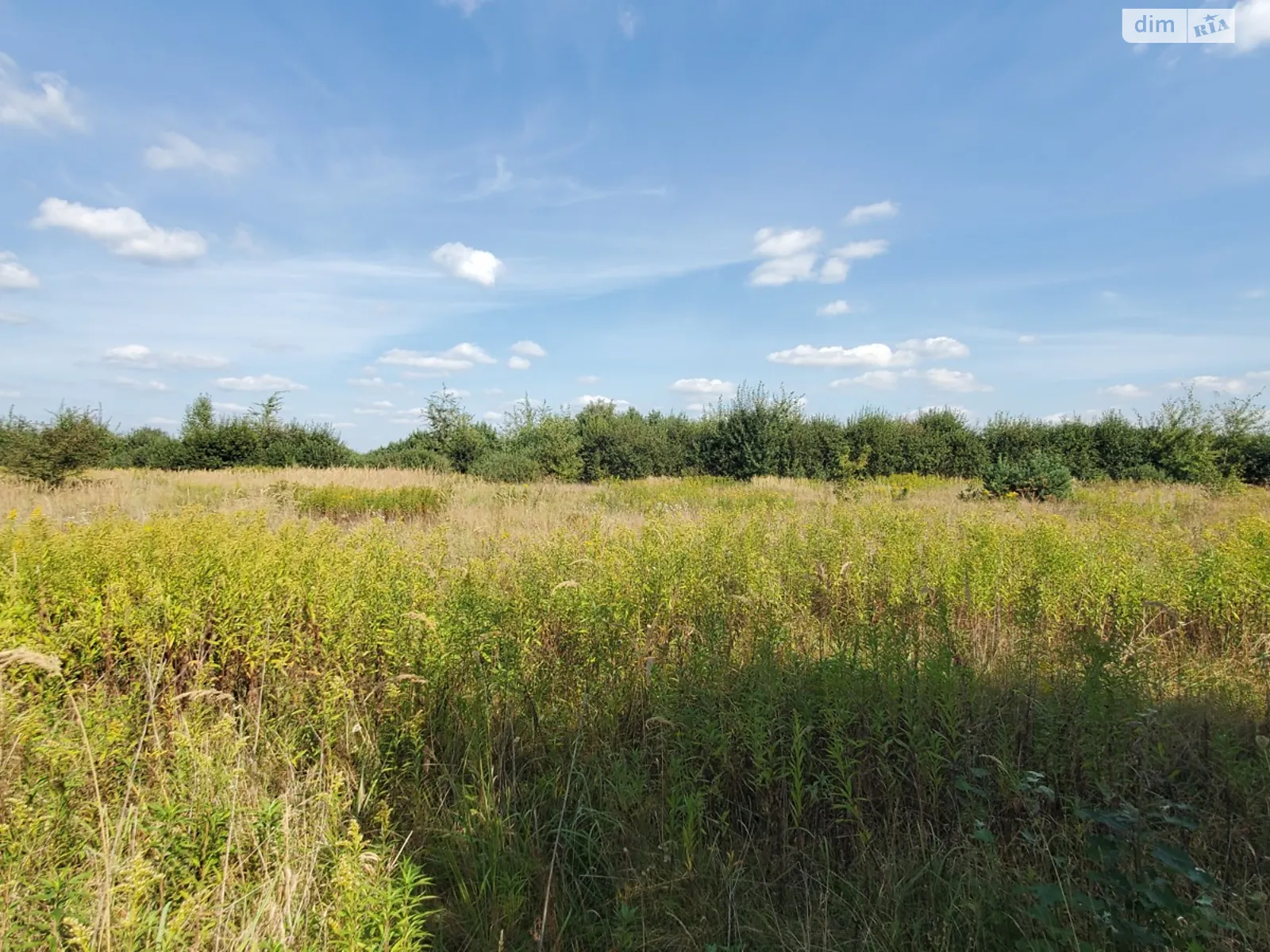 Продается земельный участок 1.9 соток в Львовской области - фото 2