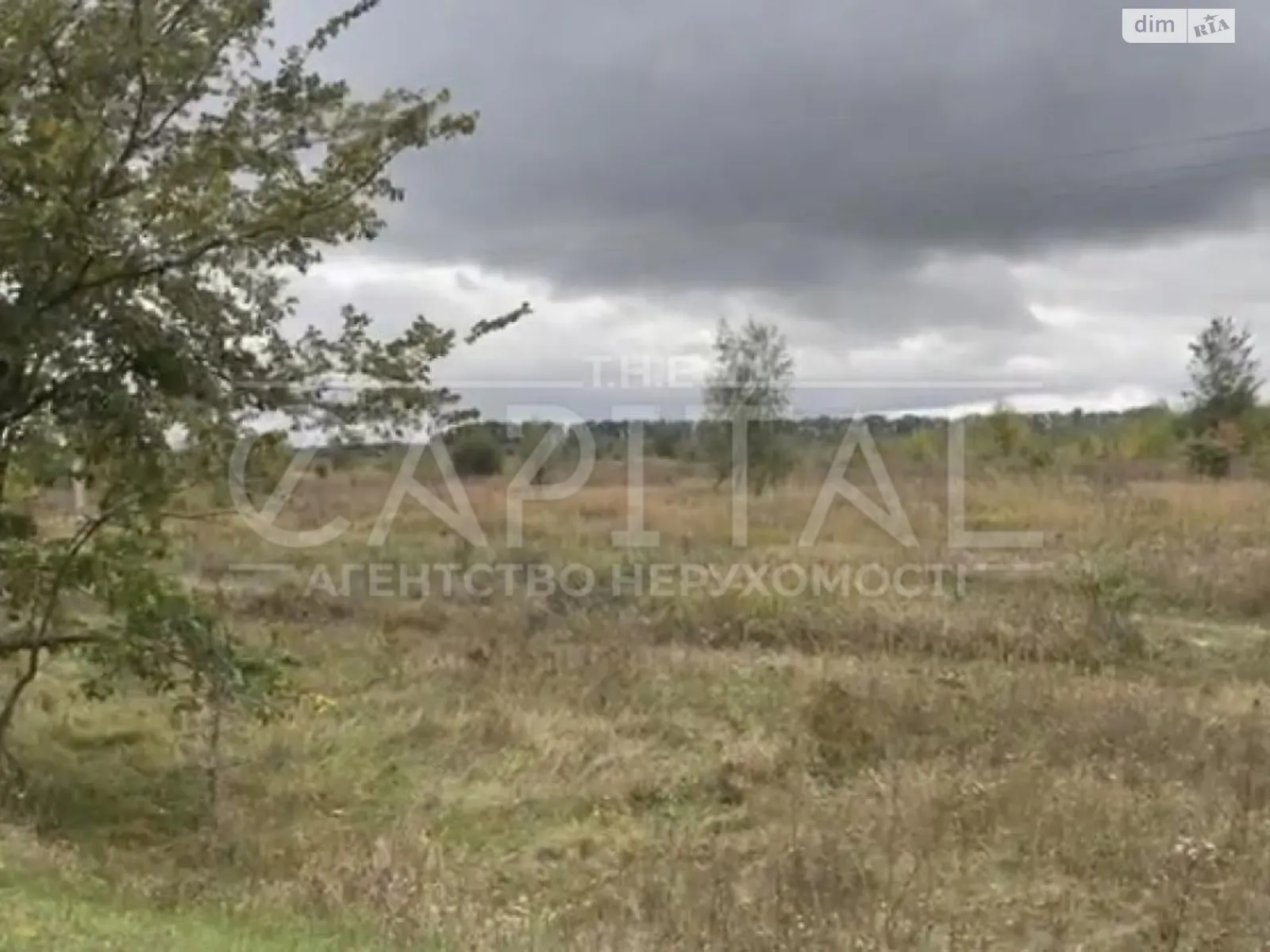 Продается земельный участок 840 соток в Винницкой области - фото 3