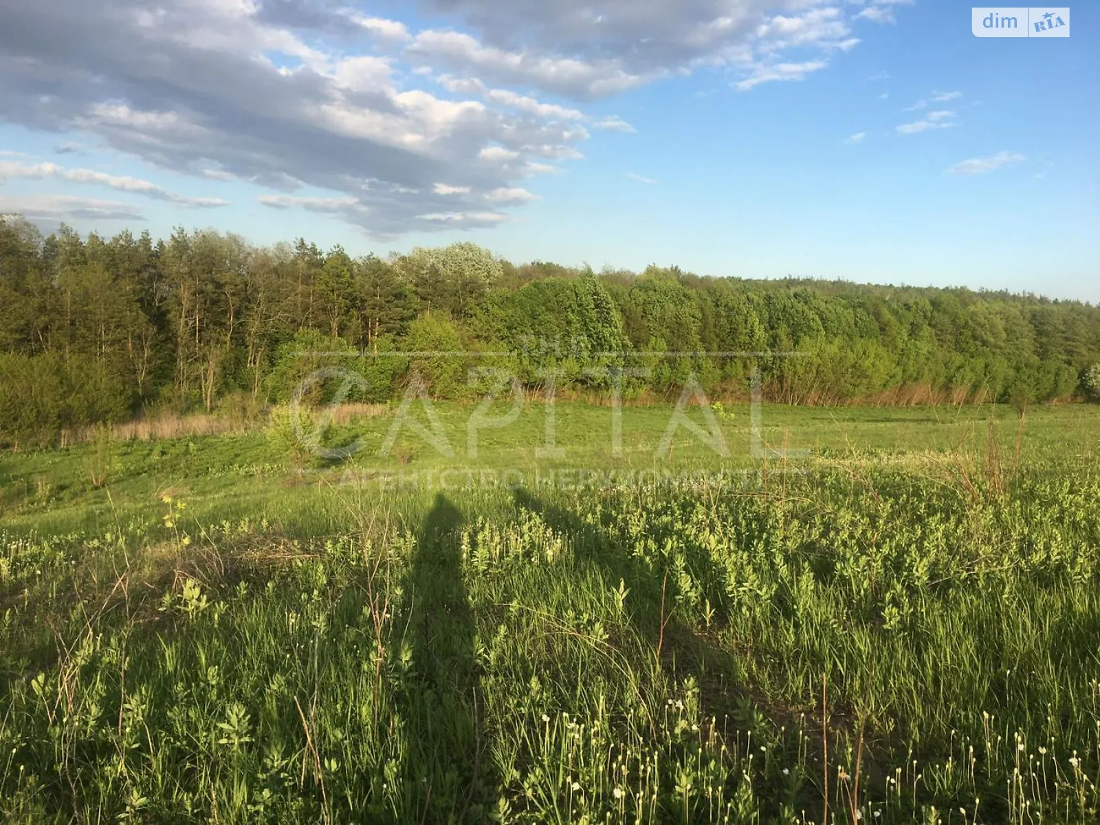 Продається земельна ділянка 297 соток у Київській області - фото 2