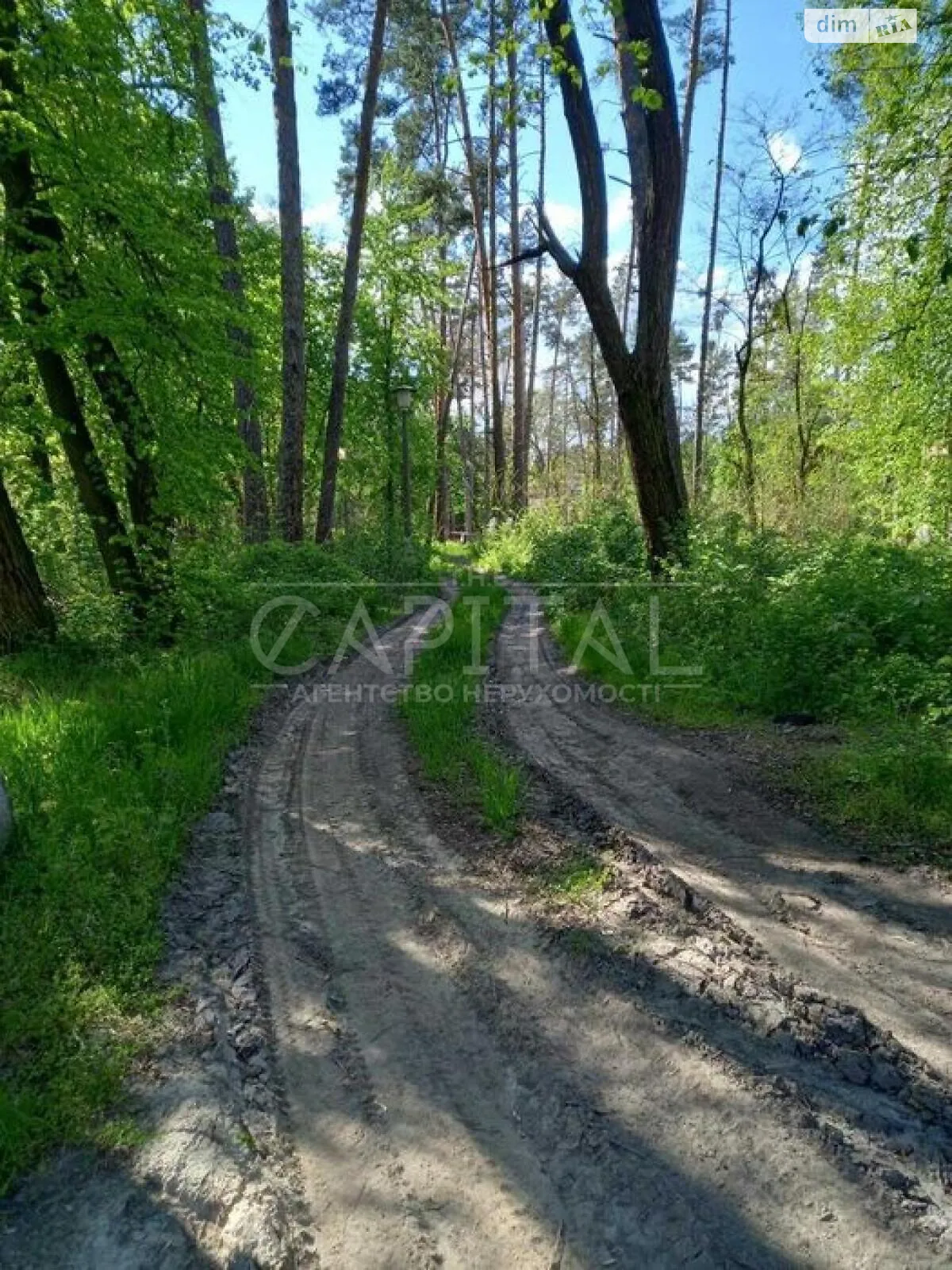 Продается земельный участок 405 соток в Киевской области - фото 3
