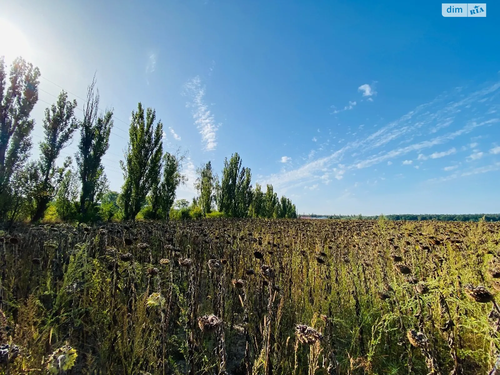 Продається земельна ділянка 12 соток у Вінницькій області, цена: 8500 $ - фото 1